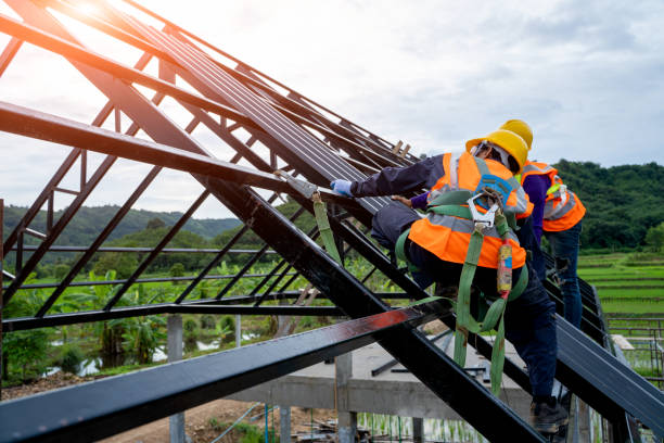 Best Metal Roofing Contractor  in Olathe, KS