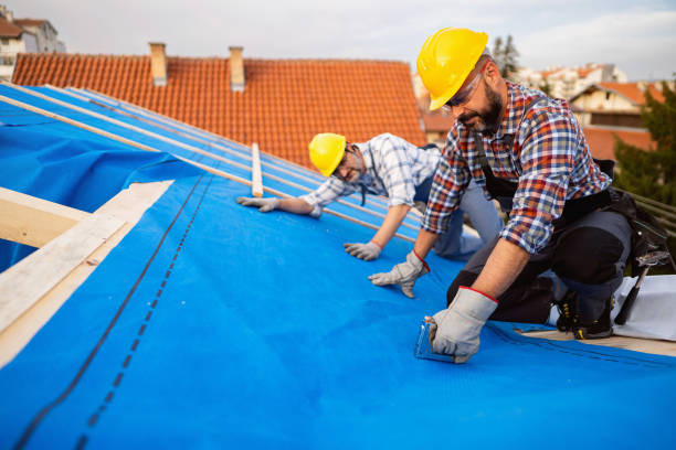 Best Flat Roof Repair Services  in Olathe, KS